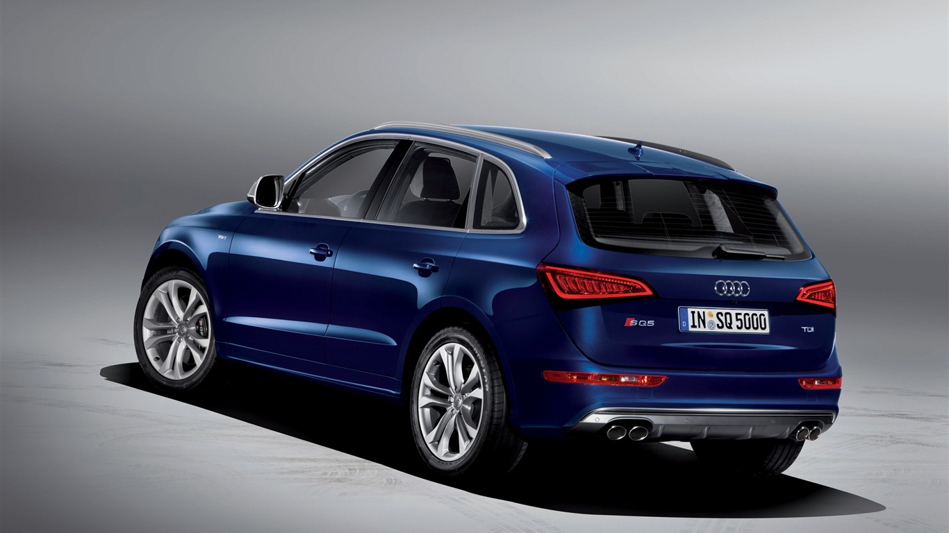 2013 Audi SQ5 TDI 奥迪 高清壁纸7 - 1366x768