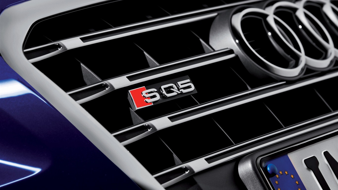 2013 Audi SQ5 TDI 奥迪 高清壁纸11 - 1366x768
