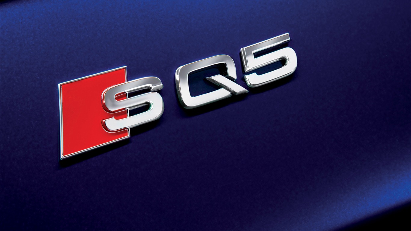 2013 Audi SQ5 TDI 奧迪 高清壁紙 #13 - 1366x768