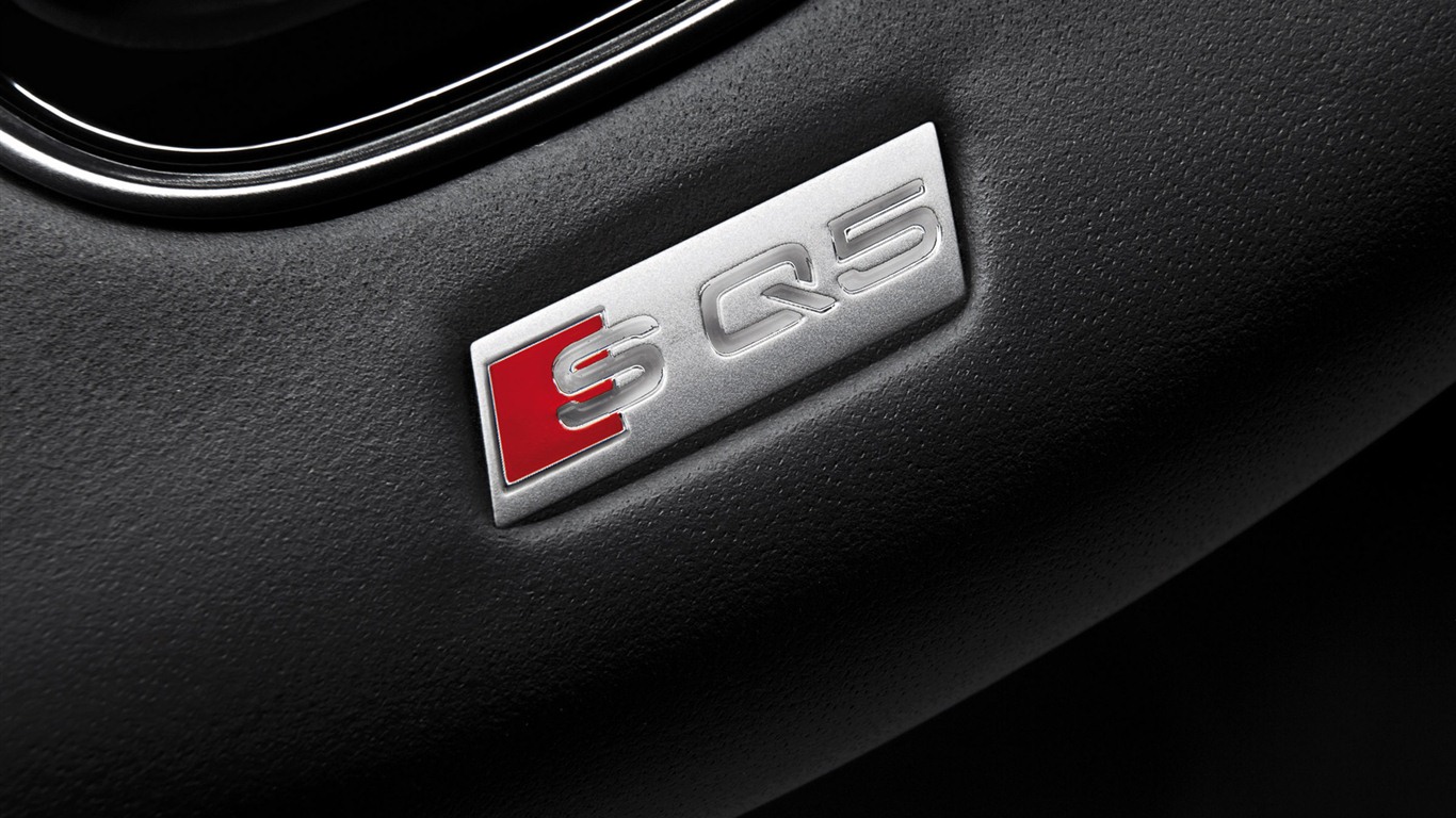 2013 Audi SQ5 TDI 奧迪 高清壁紙 #19 - 1366x768