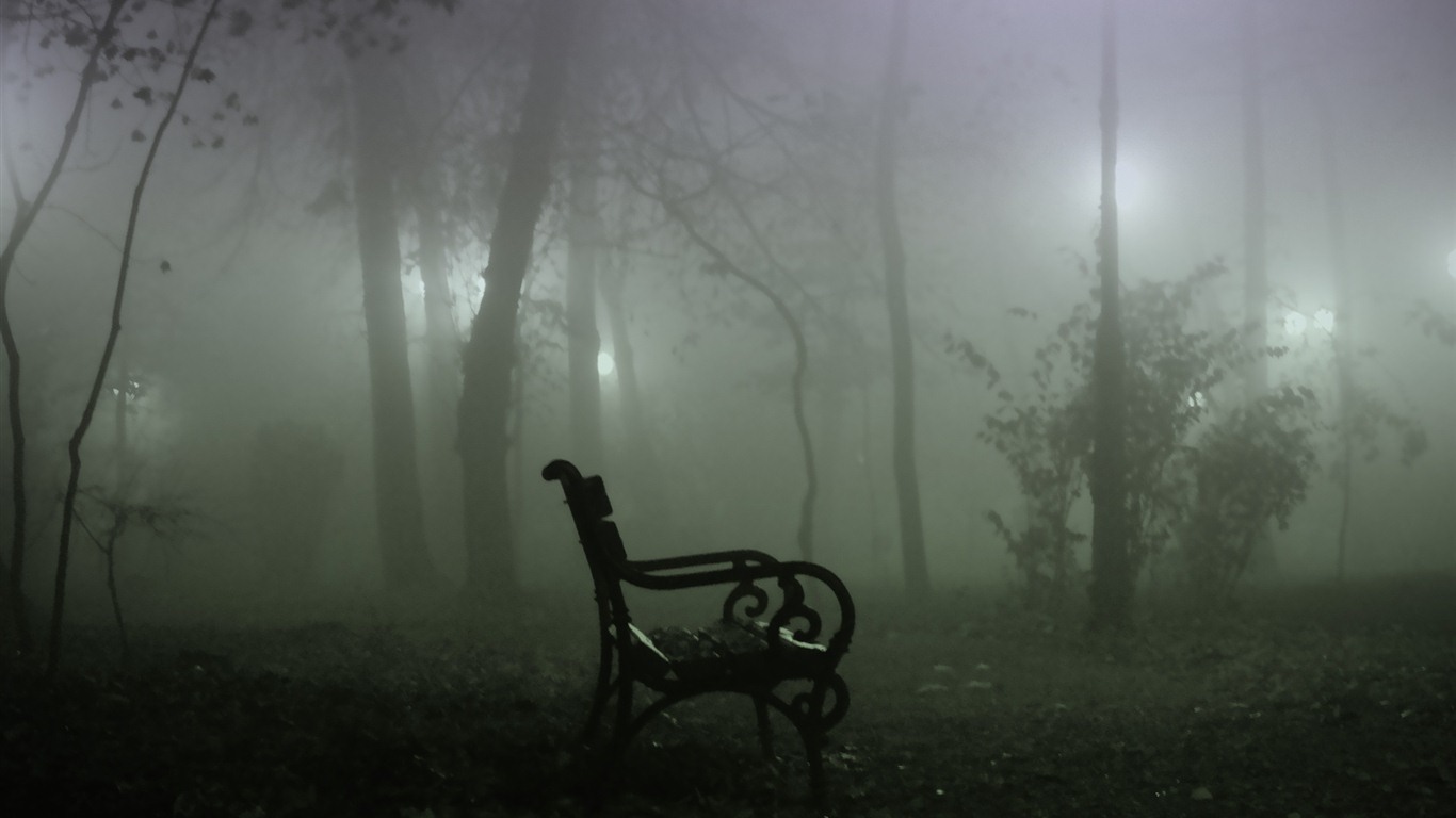 Windows 7 Wallpapers: Automne Eerie #8 - 1366x768