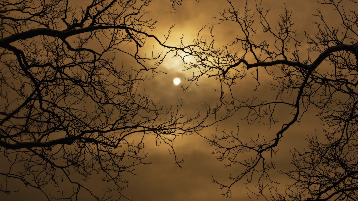 Windows 7 Tapety: Eerie podzim #11 - 1366x768