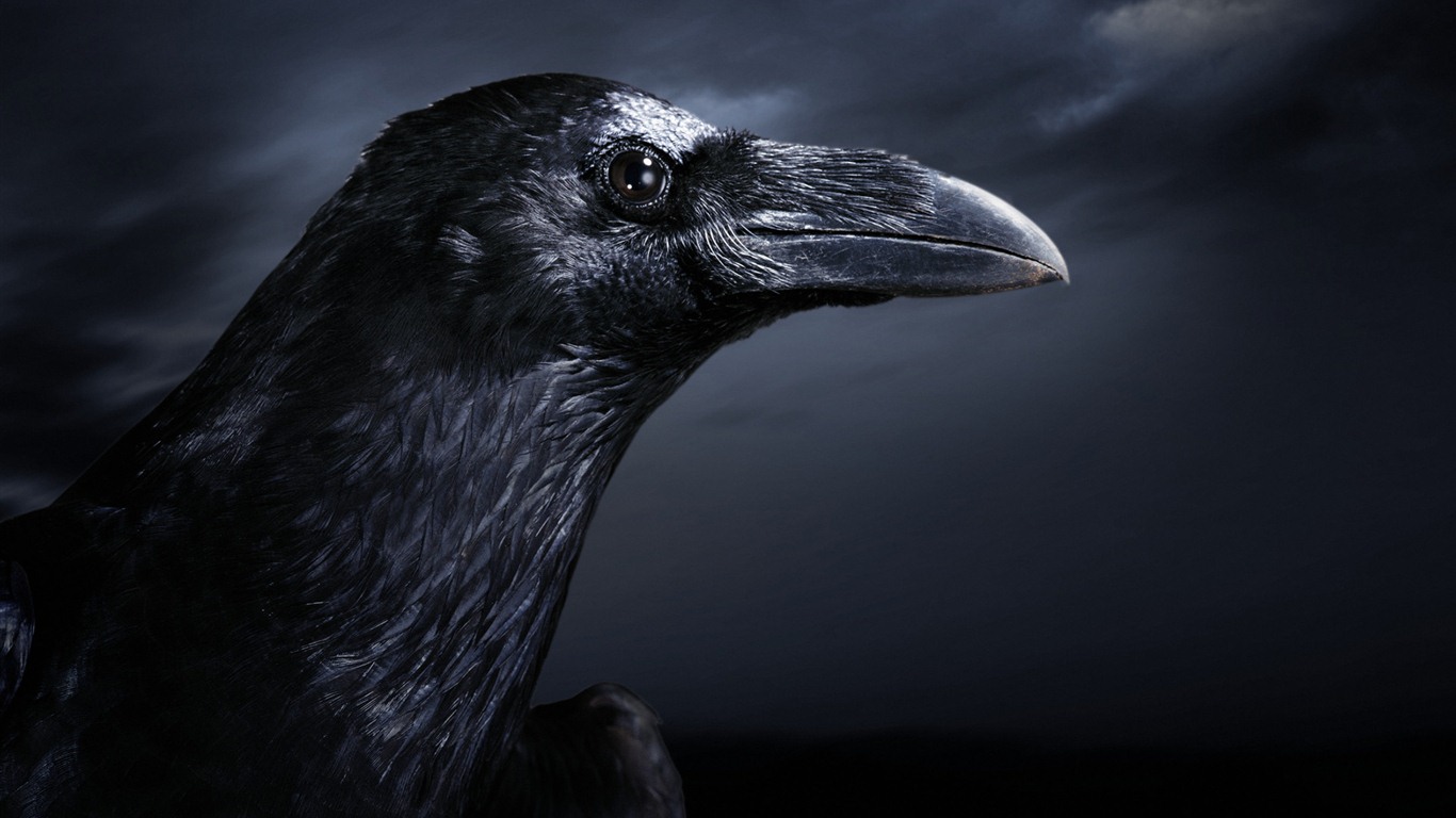 Windows 7 Tapety: Eerie podzim #13 - 1366x768
