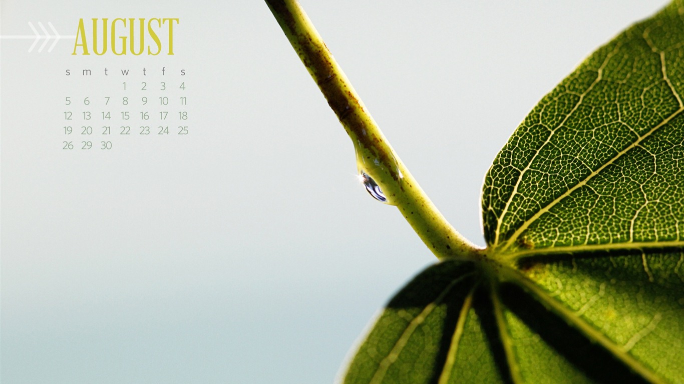 August 2012 Calendar wallpapers (2) #7 - 1366x768