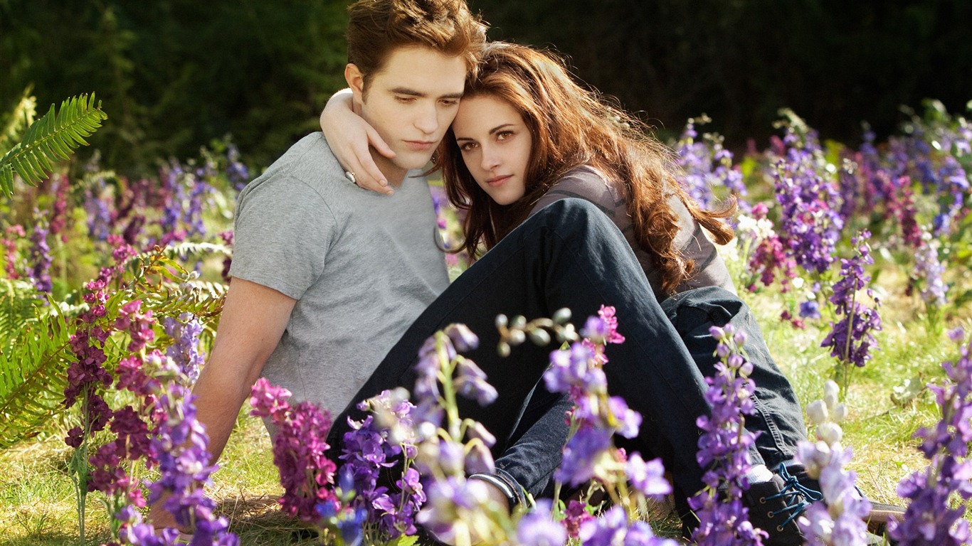 The Twilight Saga: Breaking Dawn 暮光之城4：破曉高清壁紙 #4 - 1366x768