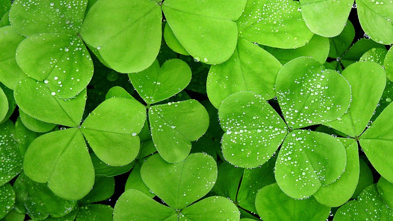 Windows 8 RP oficiální HD Tapety na plochu #10 - 1366x768