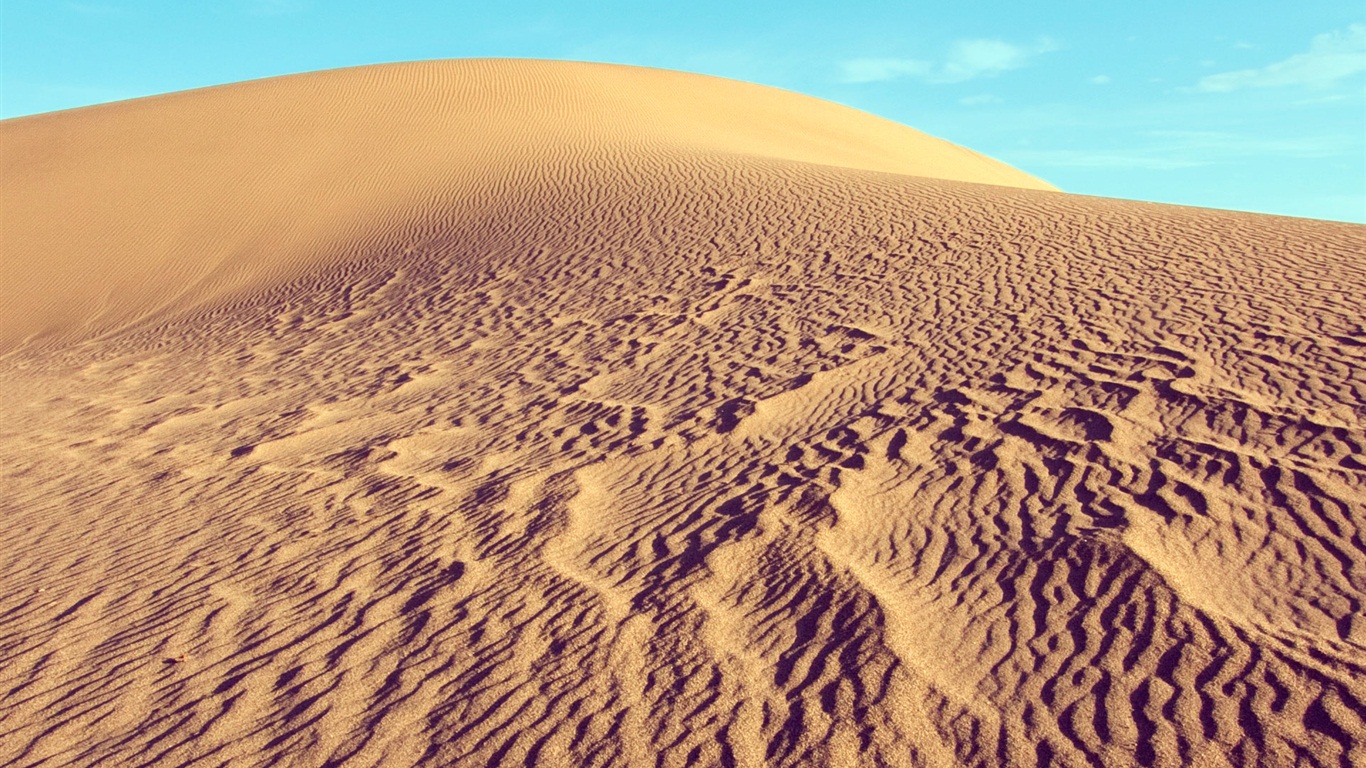 Windows 8 RTM版 官方高清壁紙 #8 - 1366x768