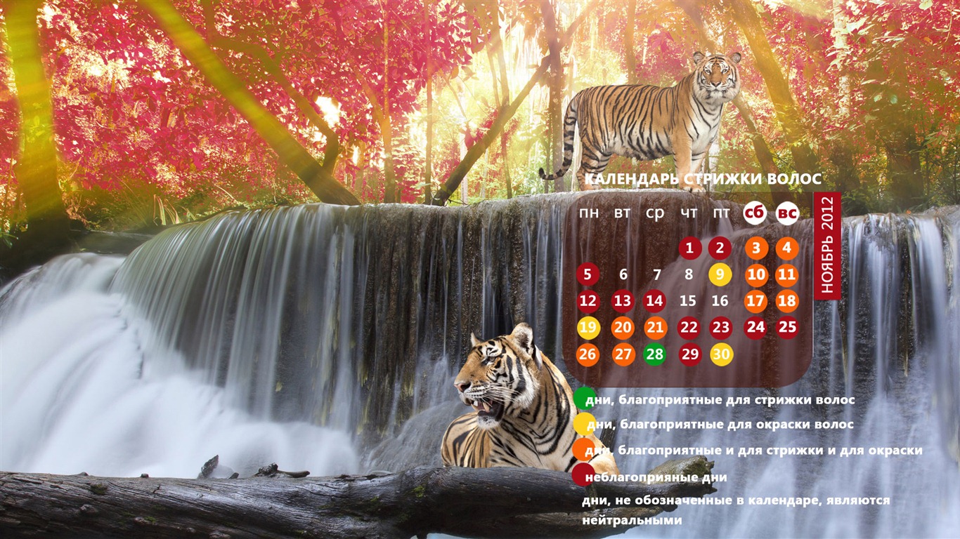 November 2012 Kalender Wallpaper (2) #18 - 1366x768