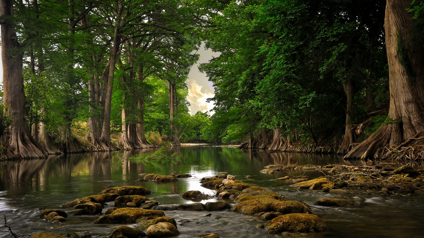 Superbes fonds d'écran HD de la nature #10 - 1366x768