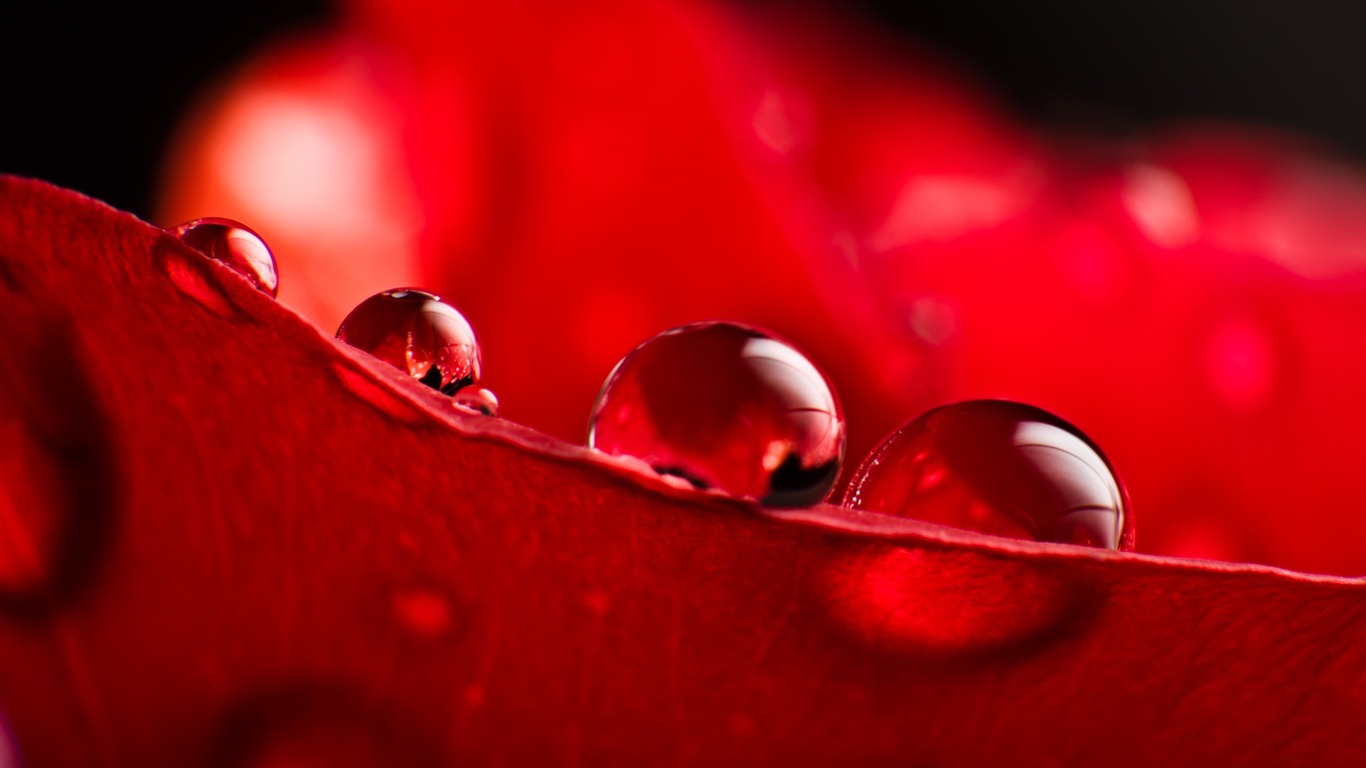 Windows 7 壁紙：水珠 #2 - 1366x768