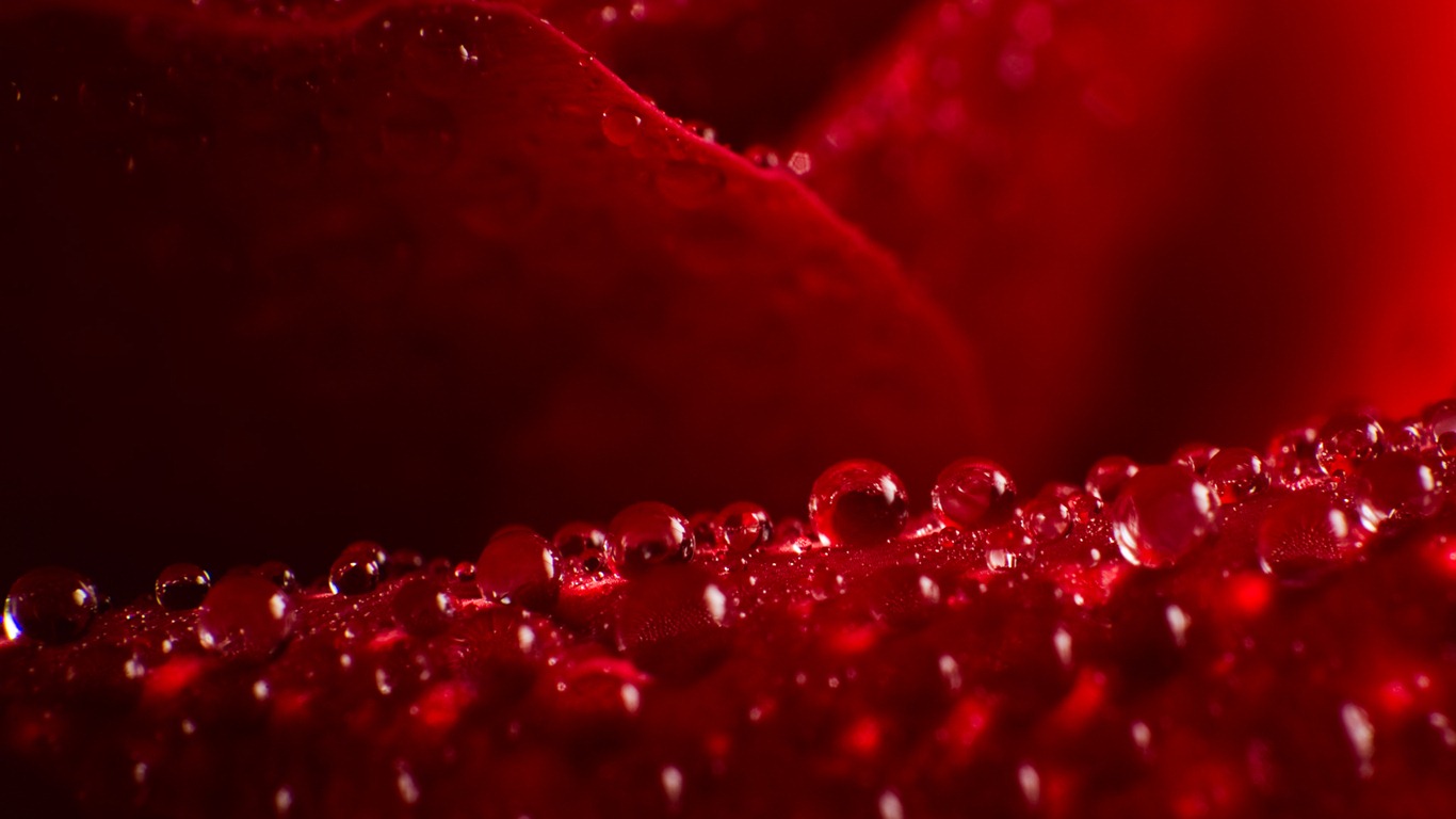 Windows 7 壁紙：水珠 #3 - 1366x768