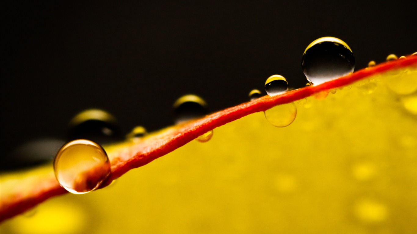 Windows 7 壁紙：水珠 #9 - 1366x768