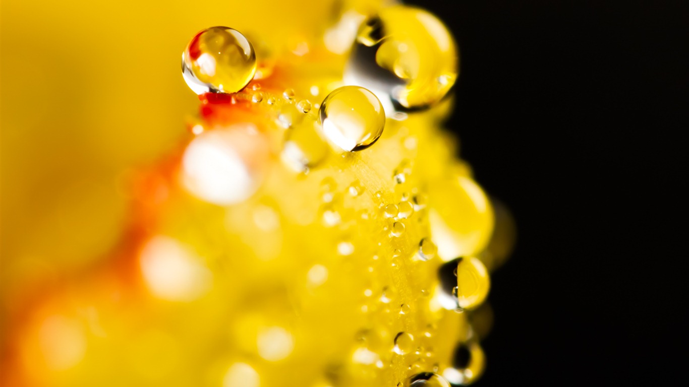 Windows 7 壁紙：水珠 #10 - 1366x768