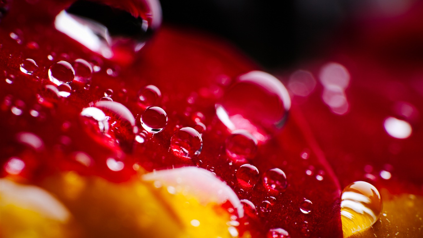 Windows 7 壁紙：水珠 #11 - 1366x768