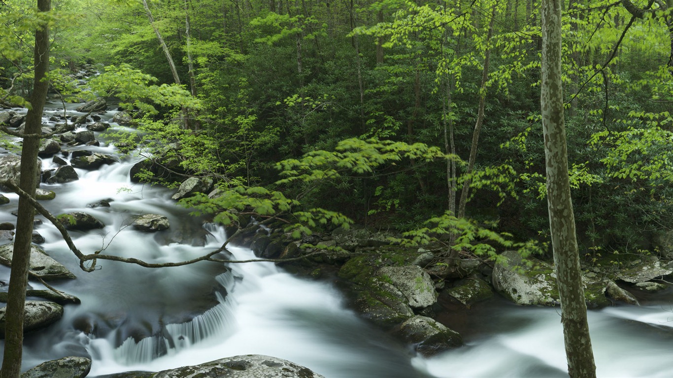 Windows 8 官方全景主題壁紙，海浪，森林，雄偉高山 #8 - 1366x768