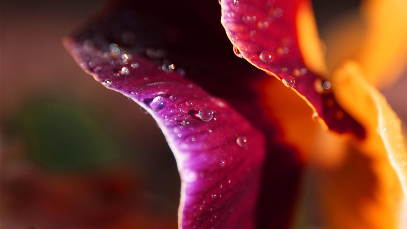 Ubuntu 烏班圖 Linux系統 2012 高清壁紙 #16 - 1366x768