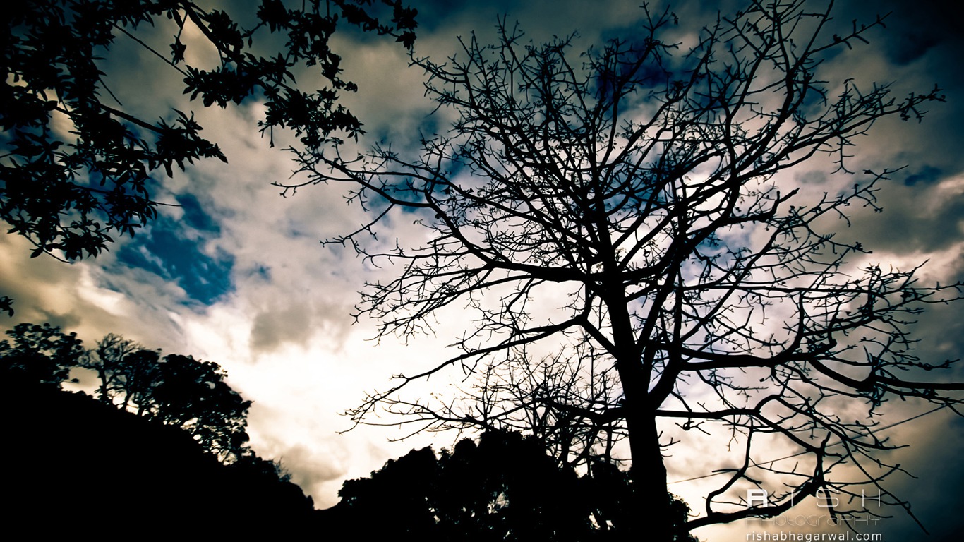 Windows 8 Wallpapers: Moments Captured #10 - 1366x768