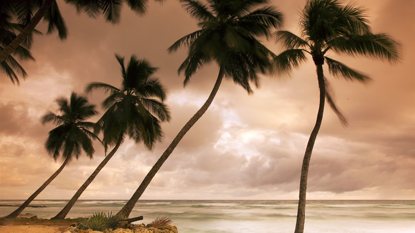 Windows 8 壁紙：加勒比海濱 #7 - 1366x768
