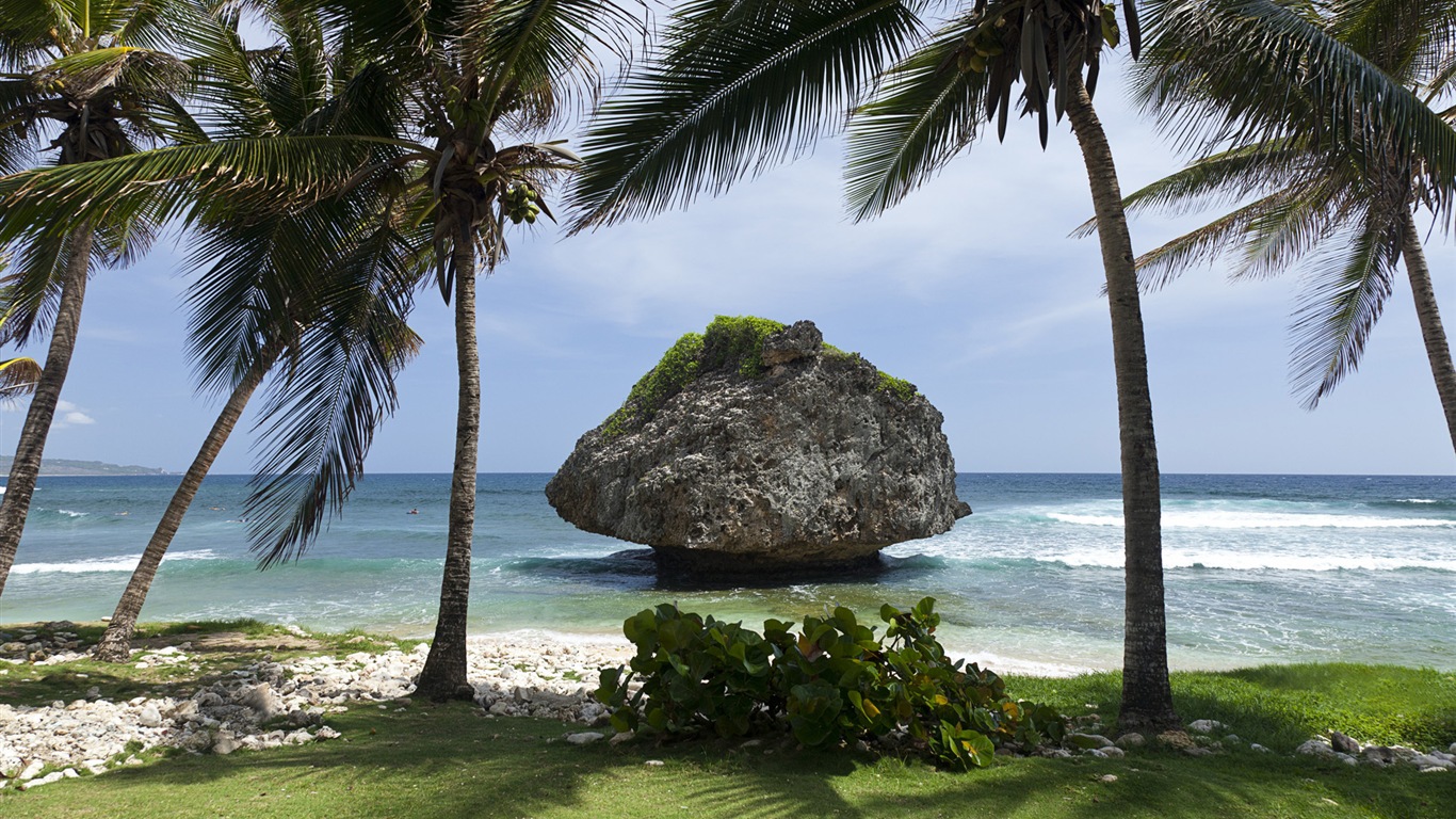 Windows 8: Fonds d'écran Shores Caraïbes #10 - 1366x768