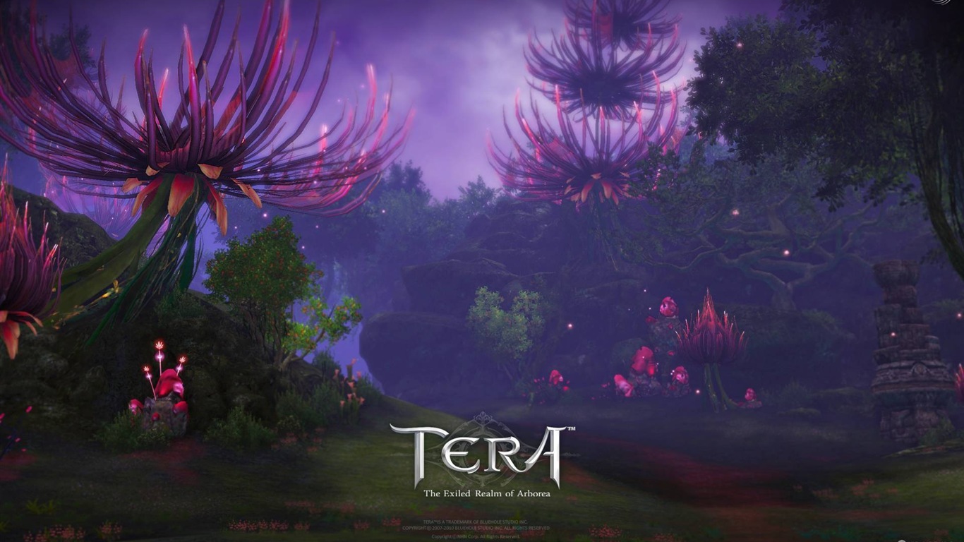 TERA HD herní plochu #15 - 1366x768