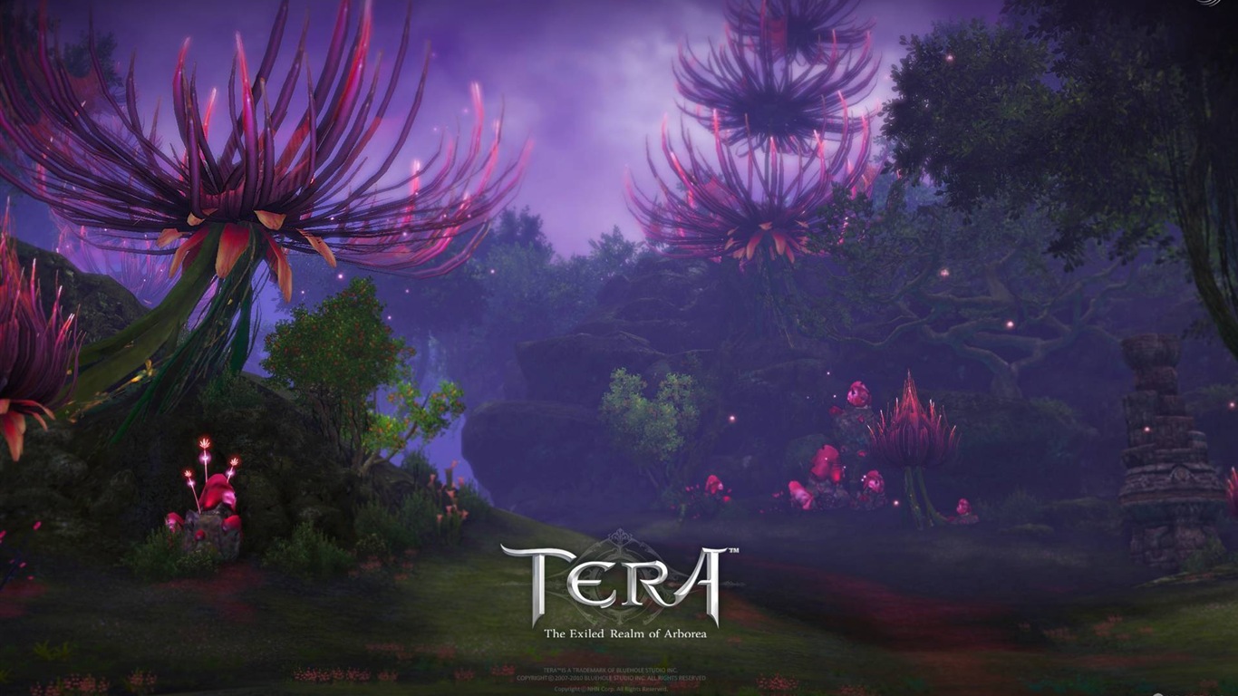 Tera 高清遊戲壁紙 #15 - 1366x768