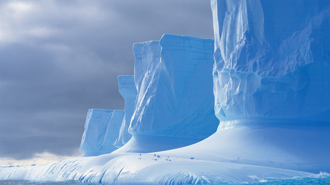 Windows 8 壁纸：南极洲，冰雪风景，南极企鹅5 - 1366x768