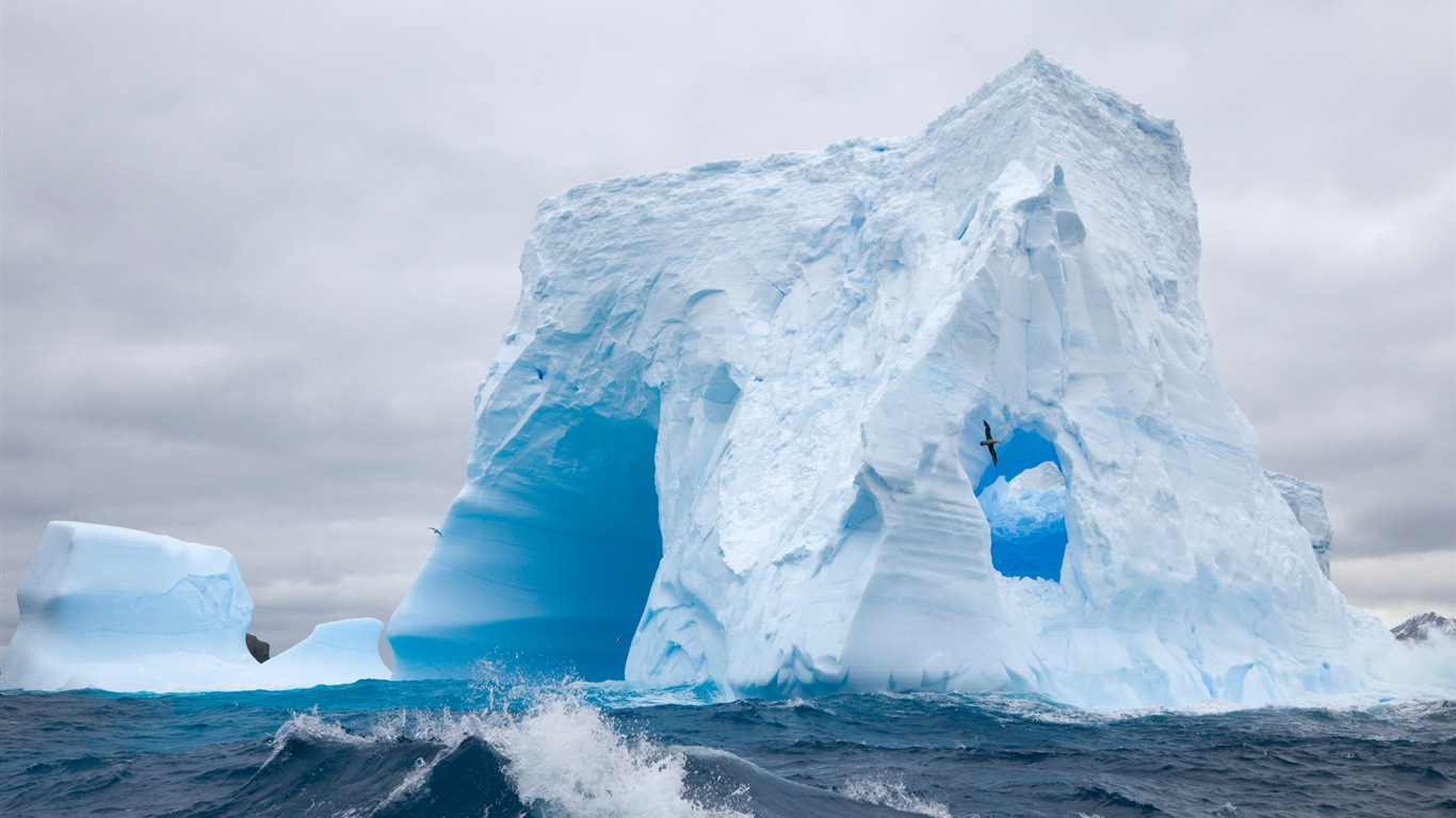 Windows 8 壁纸：南极洲，冰雪风景，南极企鹅7 - 1366x768