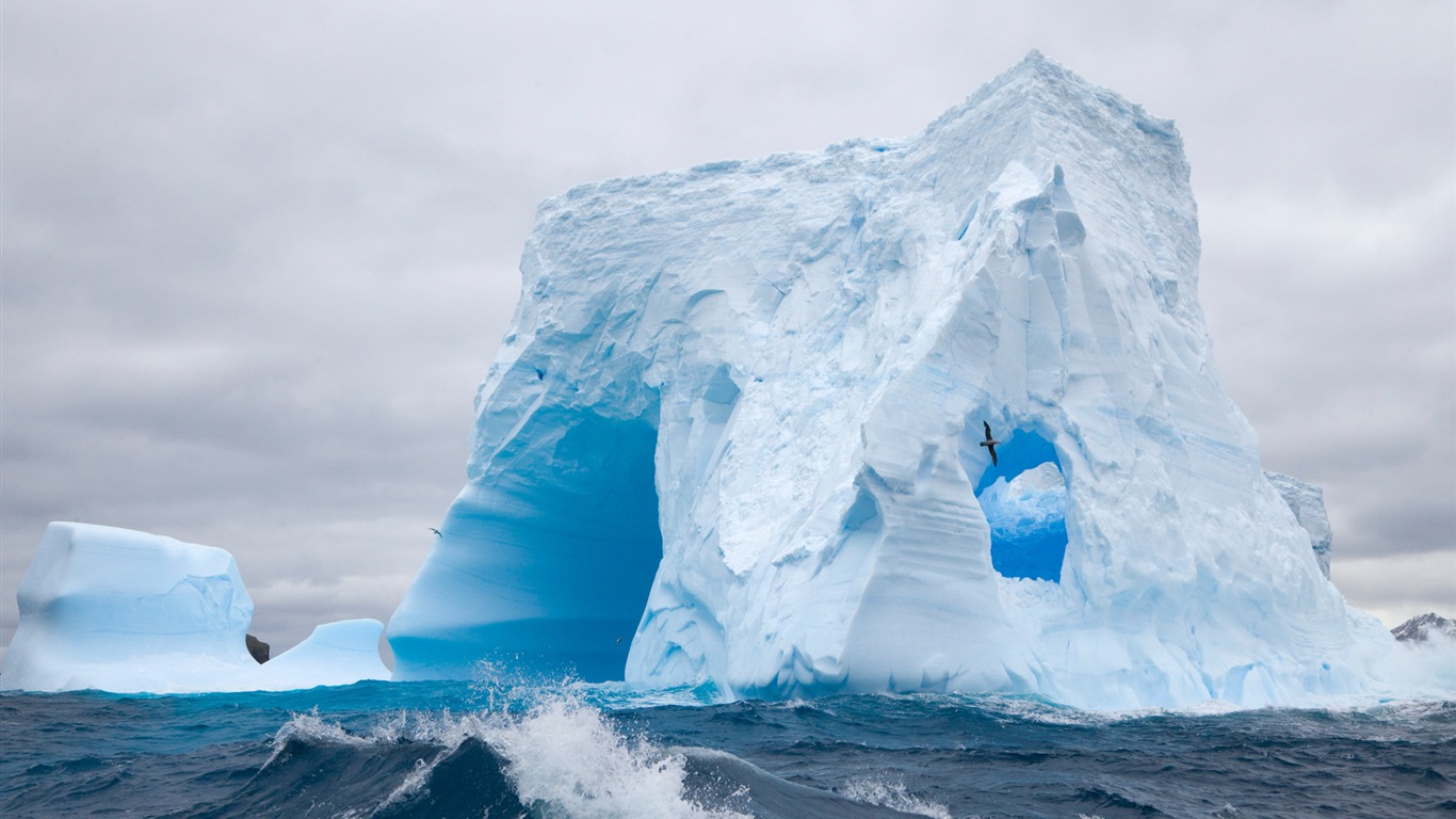 Windows 8: Fondos de pantalla, paisajes antárticos nieve, pingüinos antárticos #7 - 1366x768