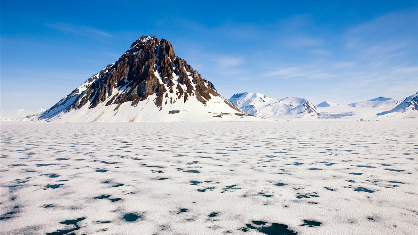 Windowsの8壁紙：北極、自然生態系の風景、北極の動物たち #1 - 1366x768