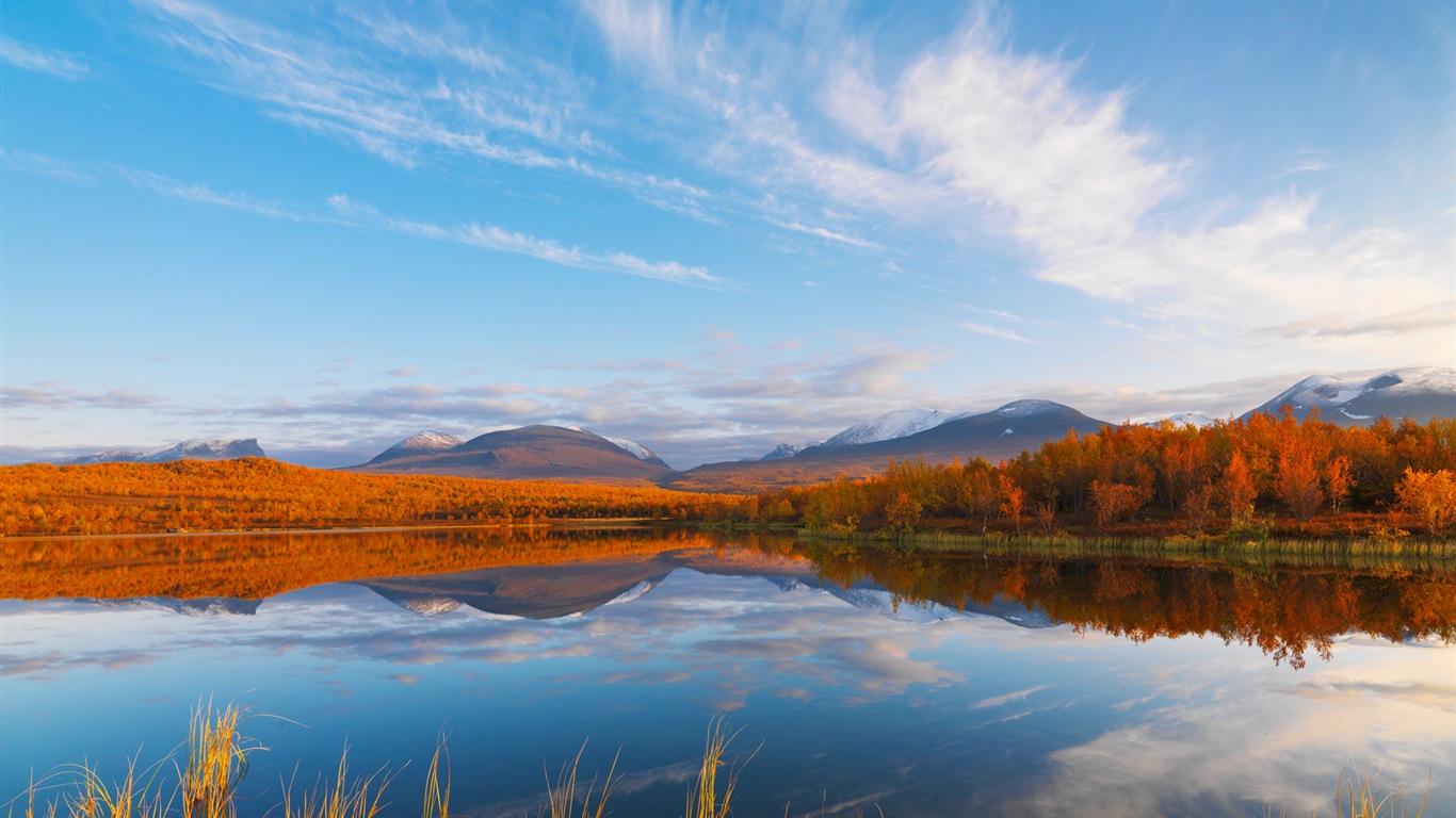 Windows 8 壁紙：北極圈，自然生態風景，北極動物 #5 - 1366x768