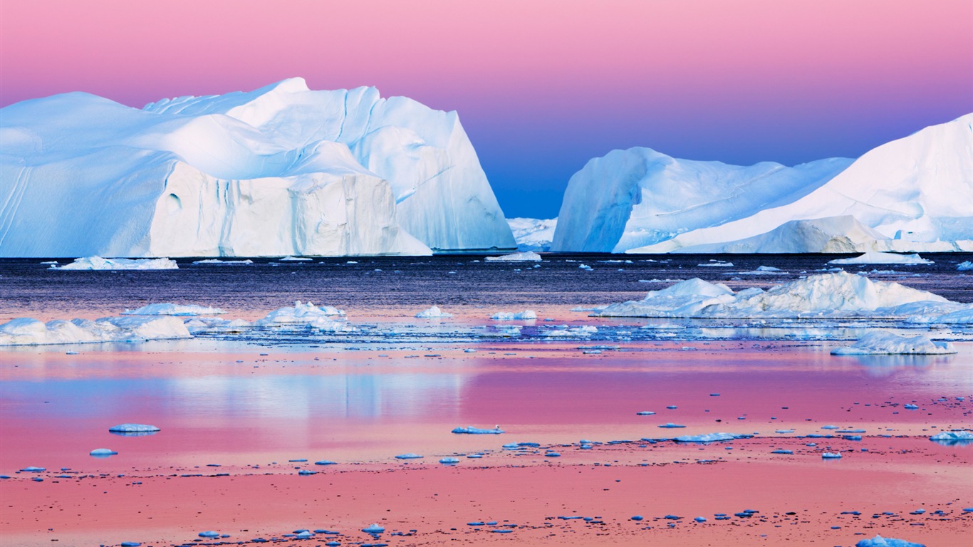 Windowsの8壁紙：北極、自然生態系の風景、北極の動物たち #7 - 1366x768