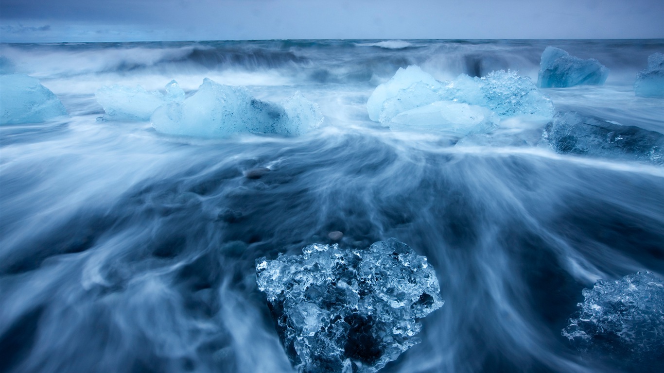 Windows 8 na plochu: Arctic, příroda ekologické krajiny, polární zvířata #9 - 1366x768