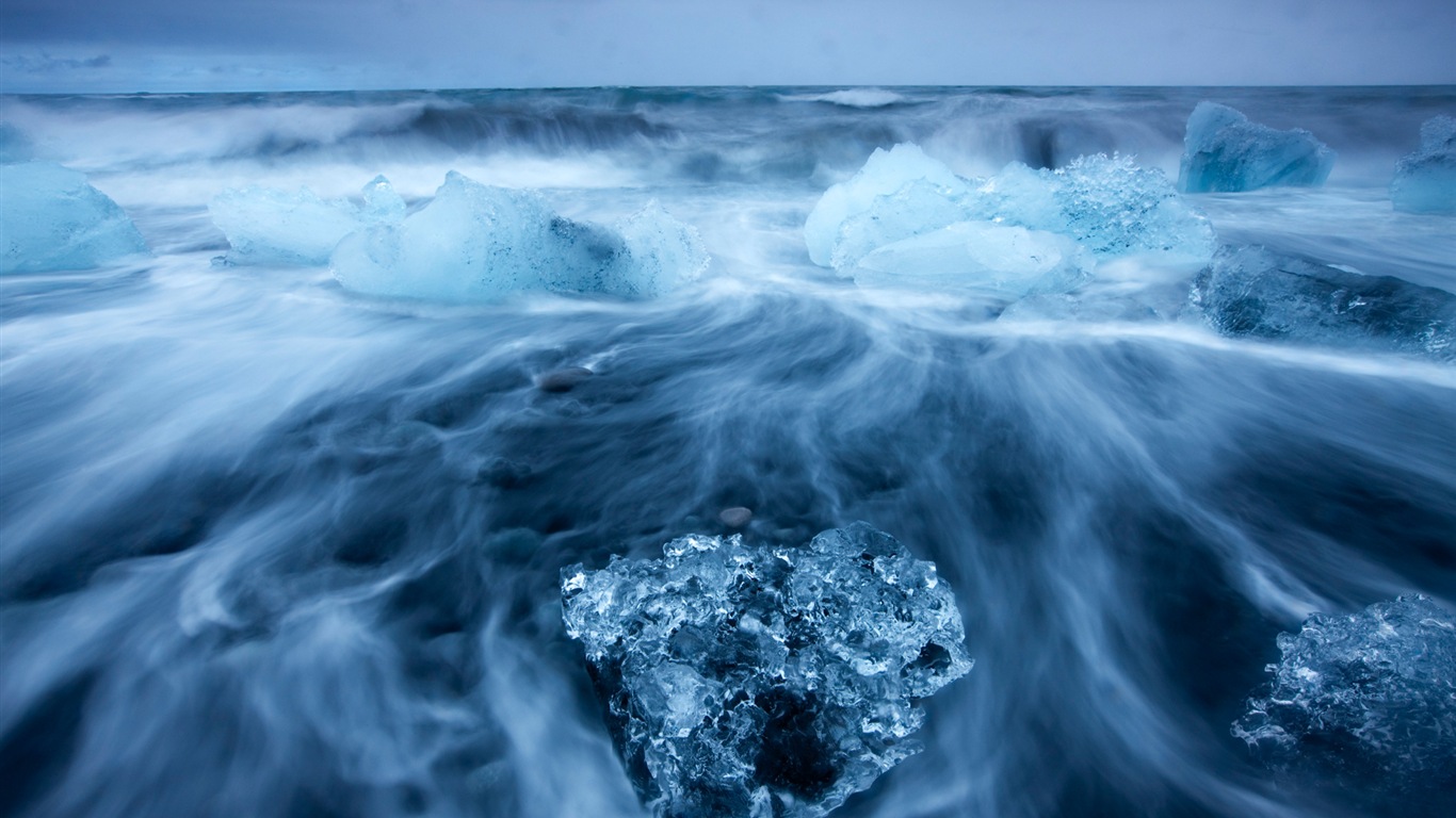 Fonds d'écran Windows 8: l'Arctique, le paysage de nature écologique, animaux arctiques #9 - 1366x768