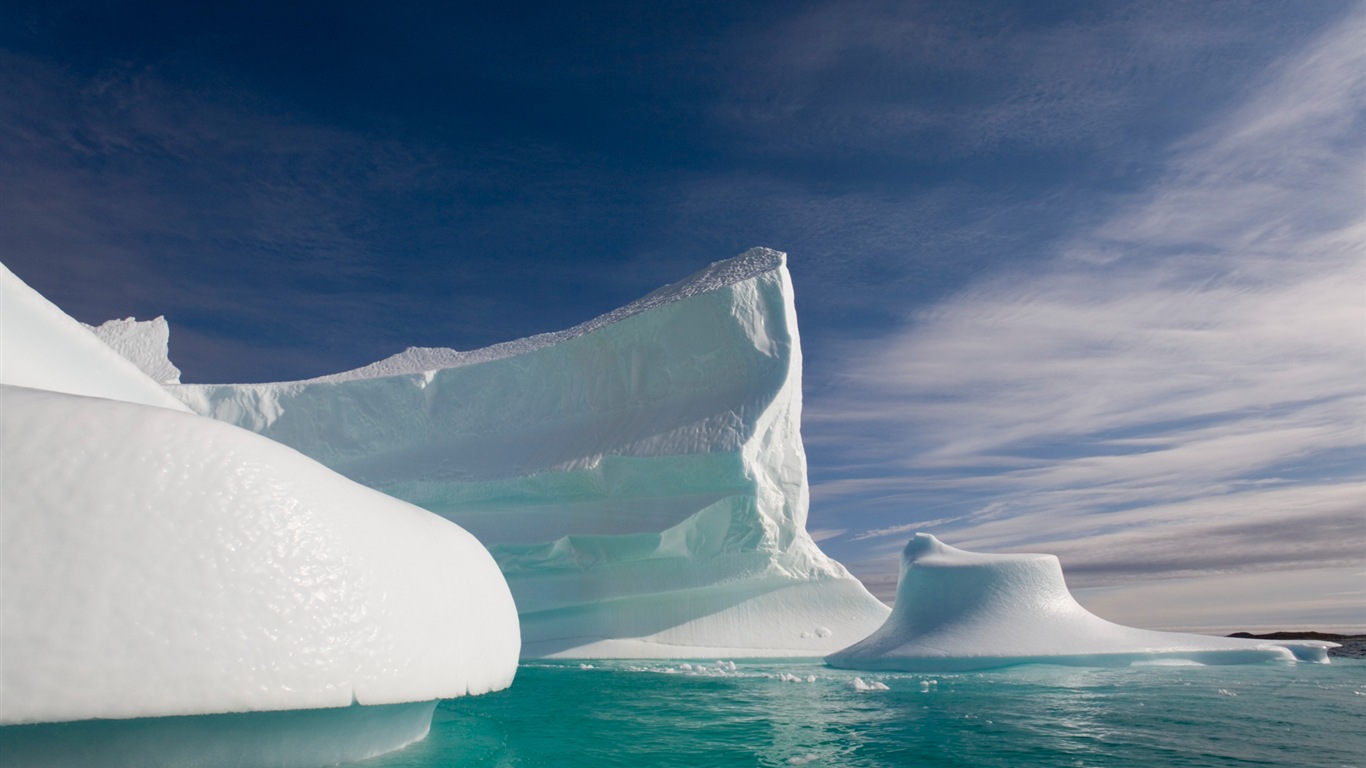 Windows 8 壁紙：北極圈，自然生態風景，北極動物 #14 - 1366x768
