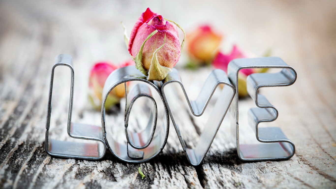 Warm and romantic Valentine's Day HD wallpapers #1 - 1366x768