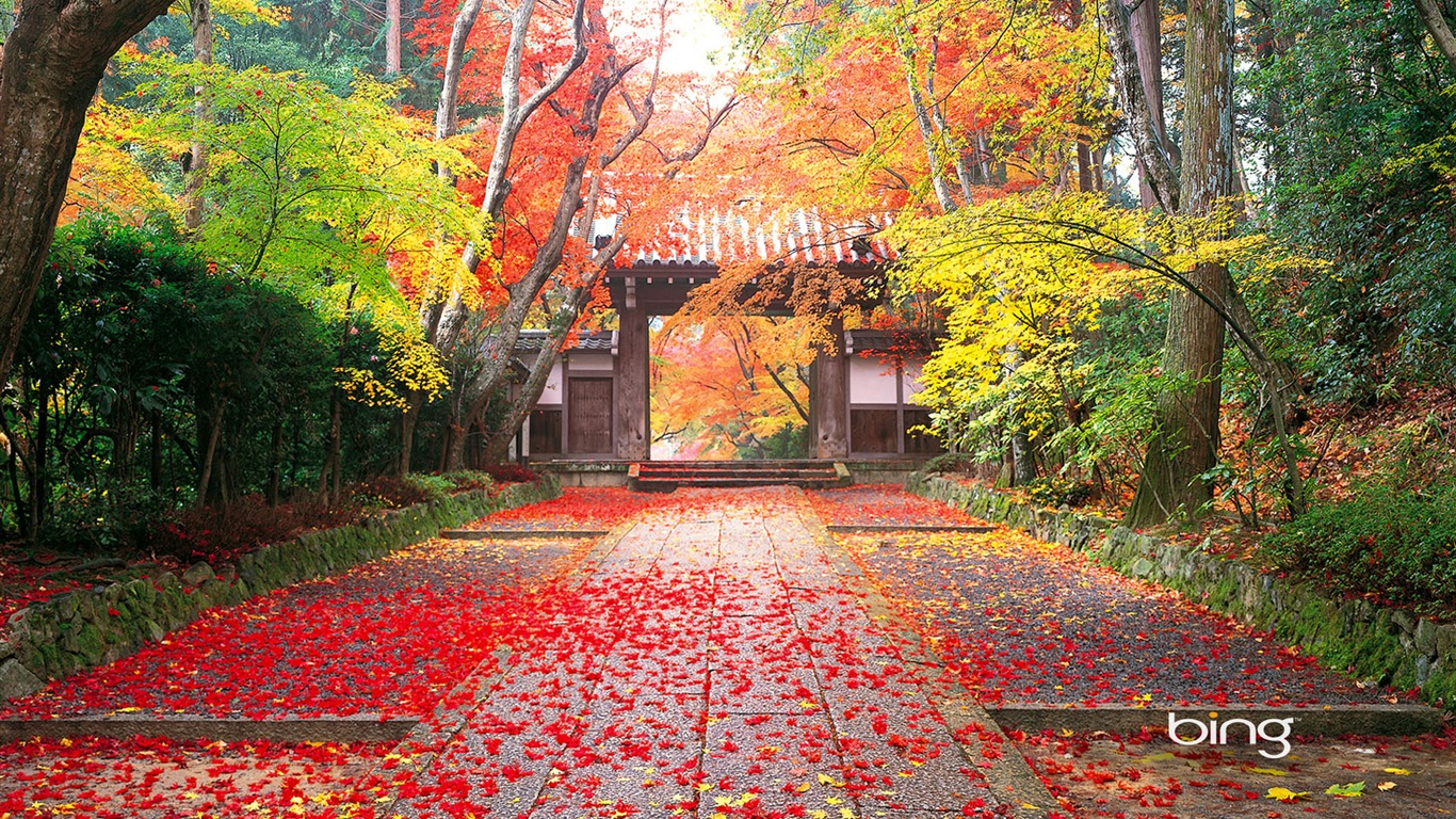 Microsoft Bing HD Wallpapers: fondos de escritorio de paisaje japonés tema #1 - 1366x768