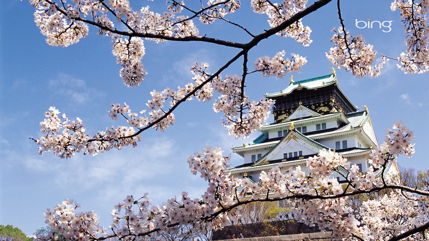 Microsoft Bing HD Wallpapers: fondos de escritorio de paisaje japonés tema #6 - 1366x768