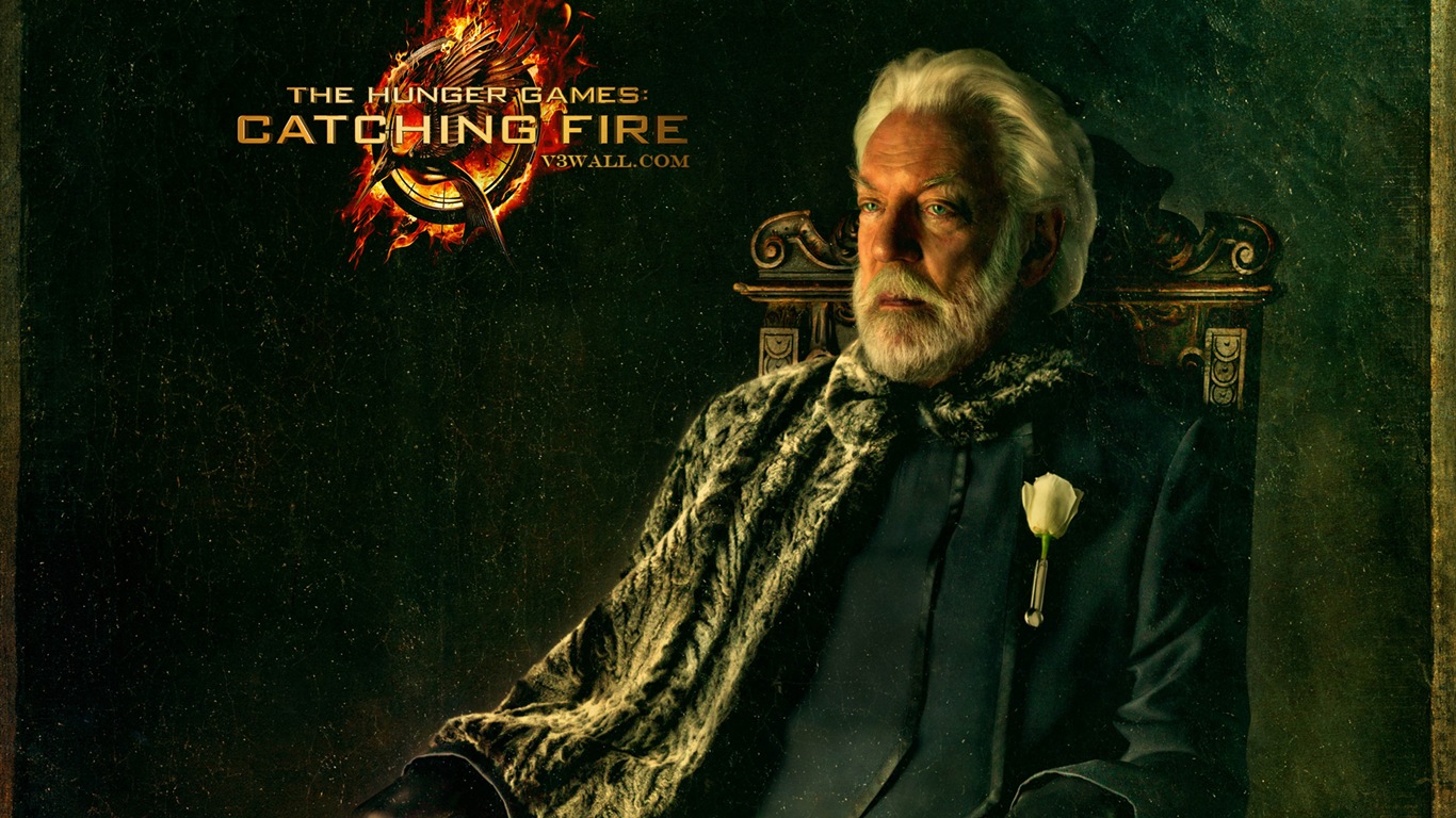 The Hunger Games: Catching Fire 飢餓遊戲2：星火燎原 高清壁紙 #3 - 1366x768