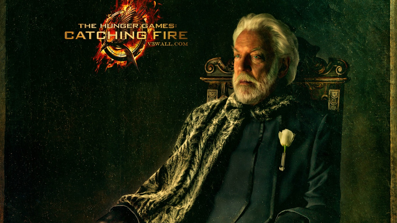 The Hunger Games 2: Catching Fire HD wallpapers #3 - 1366x768