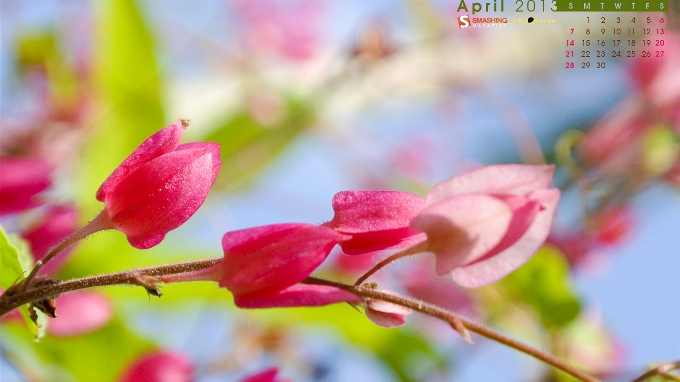 2013年4月 月曆壁紙(一) #17 - 1366x768