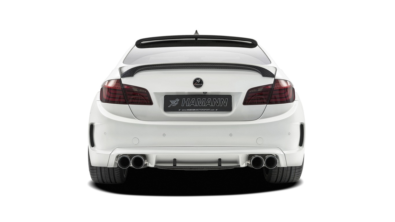 2013 Hamann M5 Mi5sion 哈曼M5 Mi5sion豪華車高清壁紙 #7 - 1366x768