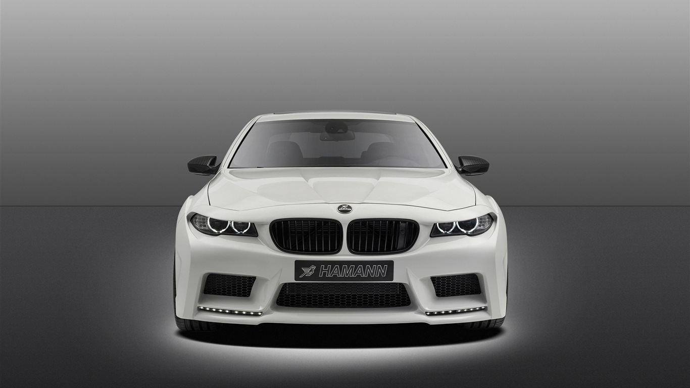 2013 Hamann M5 Mi5sion 哈曼M5 Mi5sion豪華車高清壁紙 #11 - 1366x768