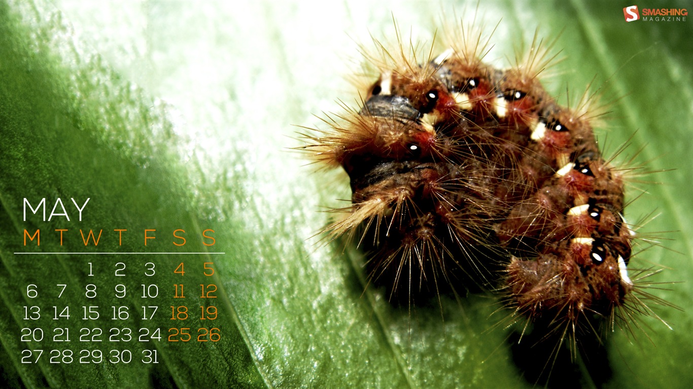 May 2013 calendar wallpaper (1) #1 - 1366x768