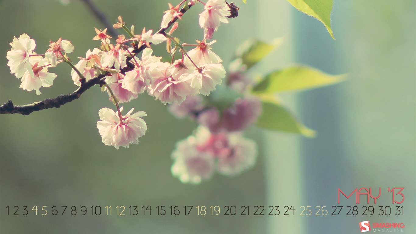2013年5月 月曆壁紙(二) #19 - 1366x768