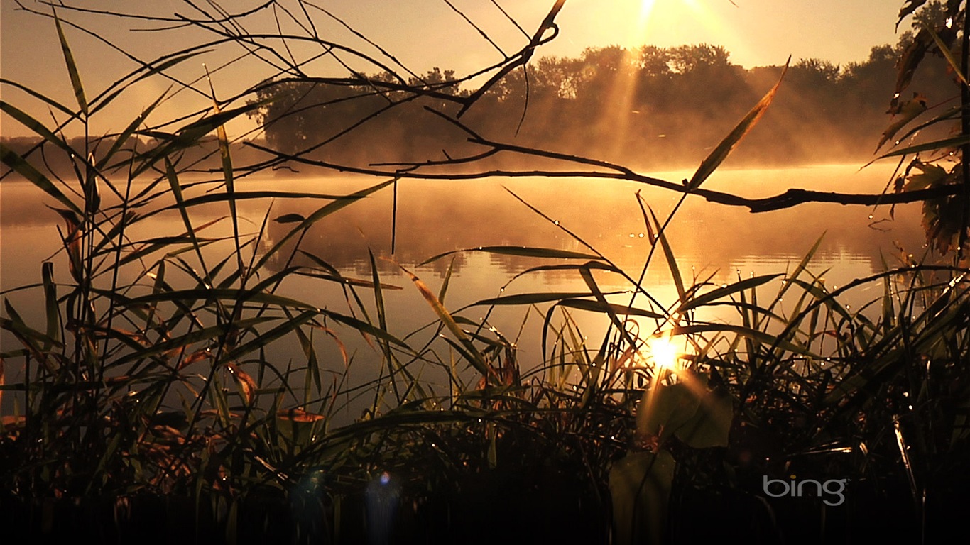 2013 oficiální Bing téma tapety #6 - 1366x768