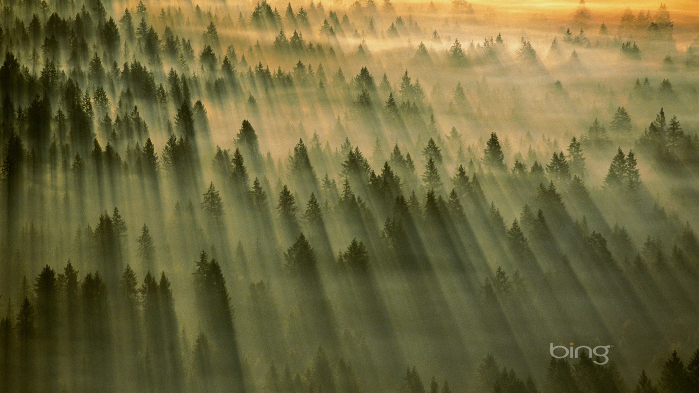 2013 Bing officielles thème wallpapers HD #26 - 1366x768