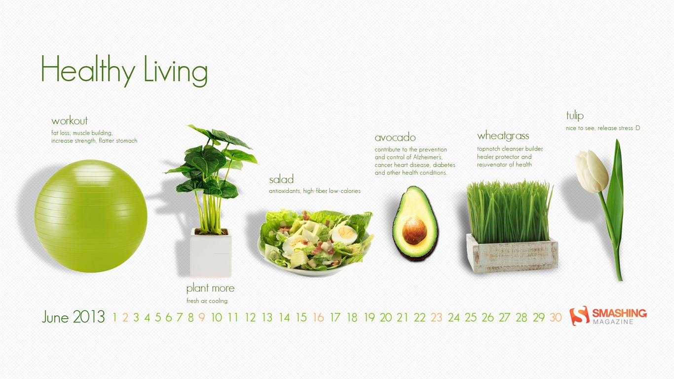 June 2013 calendar wallpaper (2) #5 - 1366x768