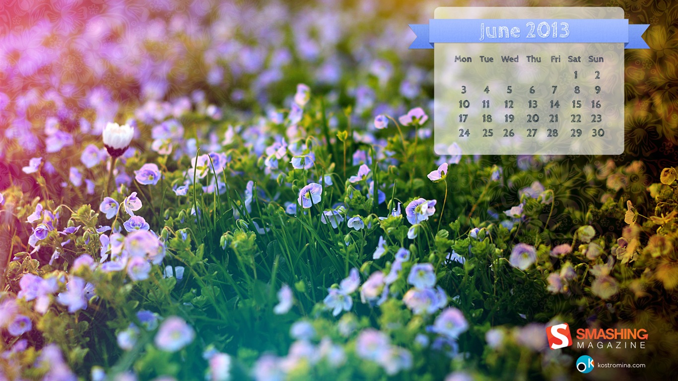 2013年6月 月曆壁紙(二) #14 - 1366x768