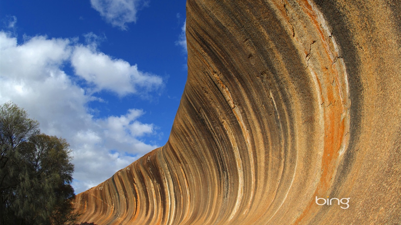 Bing Australie thème fonds d'écran HD, animaux, nature, bâtiments #3 - 1366x768