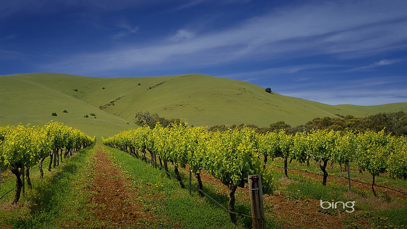 Microsoft Bing thème fonds d'écran HD, l'Australie, ville, paysage, animaux #6 - 1366x768